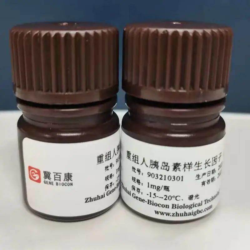 微信圖片_20240910103942