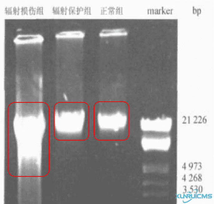 微信圖片_20241022112546