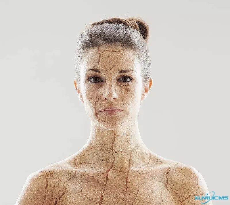 微信圖片_20241022163951