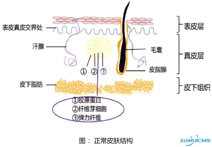 微信圖片_20241023134004
