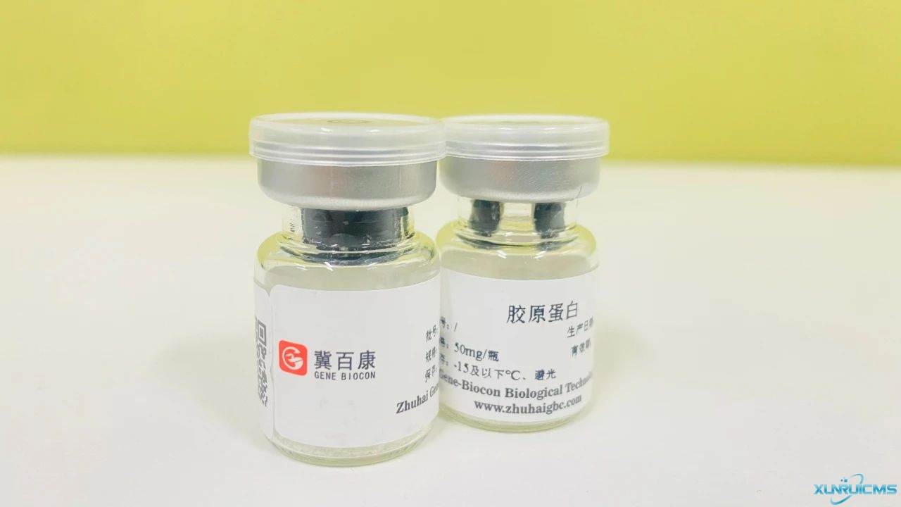 微信圖片_20241023160830