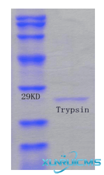 微信圖片_20241024101945 微信圖片_20241024101945