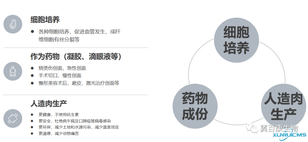 微信圖片_20241024140747 微信圖片_20241024140747