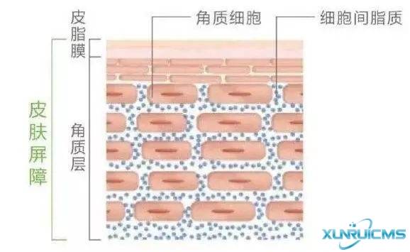 微信圖片_20241024163840