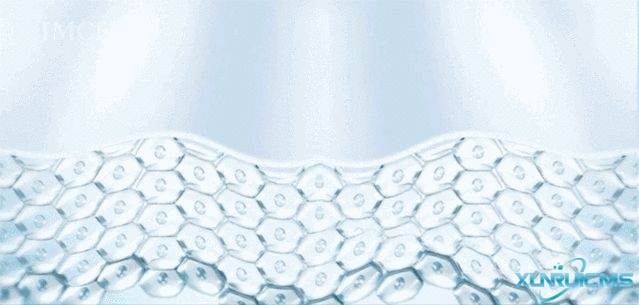 微信圖片_20241029094517