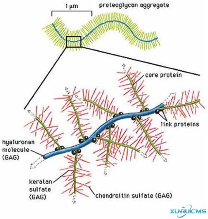 微信圖片_20241029105204