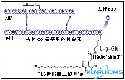 微信圖片_20241029111705 微信圖片_20241029111705