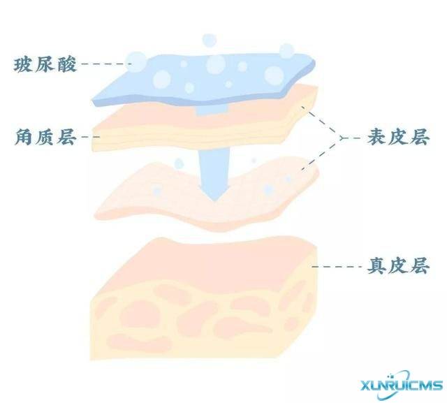 微信圖片_20241029171259